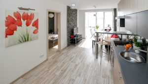 Minimalizm w zrównoważonym stylu: osiągnięcie równowagi między estetyką a minimalnym wpływem na środowisko